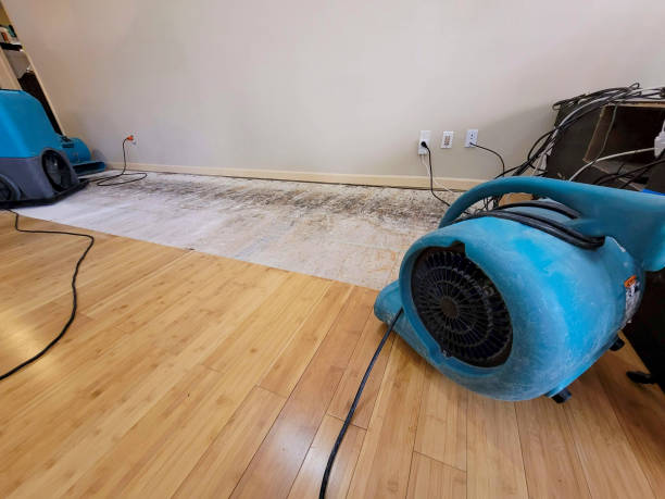 Professional Flood Damage Cleanup technician working in Saxon, WV